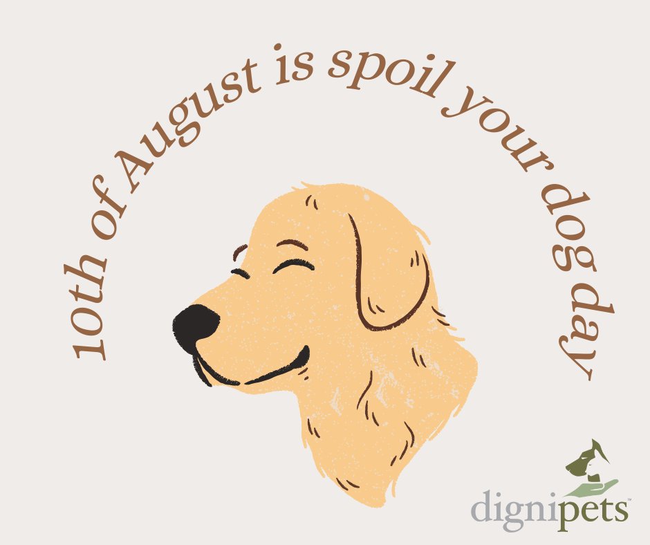 dignipets tweet media