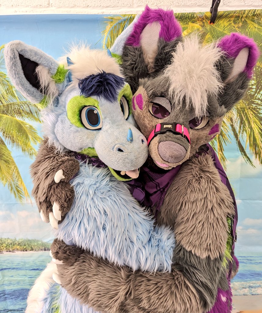Zepp Dragon 🔜 NFC (@zeppdragon) on Twitter photo Giving a good boy some cuddles at the <a href="/BerkshireFurs/">BerkshireFurs</a> meet :3
#FursuitFriday #fursuit
📸 @GinTheDragon Giving a good boy some cuddles at the <a href="/BerkshireFurs/">BerkshireFurs</a> meet :3
#FursuitFriday #fursuit
📸 @GinTheDragon