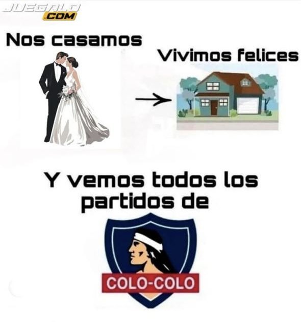 frankoide tweet media