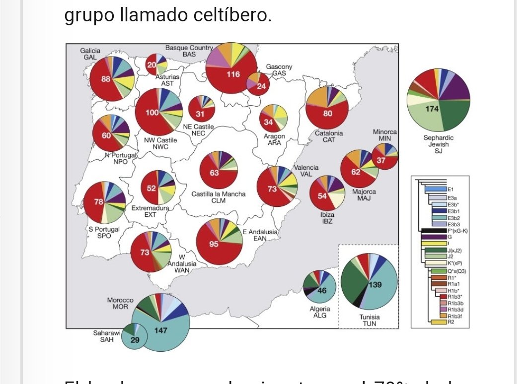Buttercup1905's tweet photo. @Osiristazo @MarcoMoras01 @Rodri_Navarr0 @Abwoom @CapitanBitcoin Es mentira. Así, sin más. https://t.co/BtQFUQXiyT