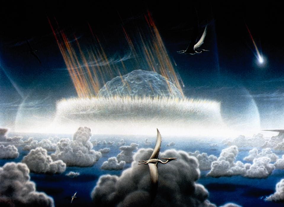 ÚLTIMOS DÍAS ANTES DE CHICXULUB ¿QUIÉNES MURIERON CON EL ASTEROIDE?

El impactor Chicxulub fue un cuerpo de unos 10-12 km caído en lo que hoy es la costa de Yucatán. 

Precipitó la extinción del 75% de todos los órdenes de plantas y animales.  ¿Quiénes fueron las víctimas?
Un🧵👇🏻