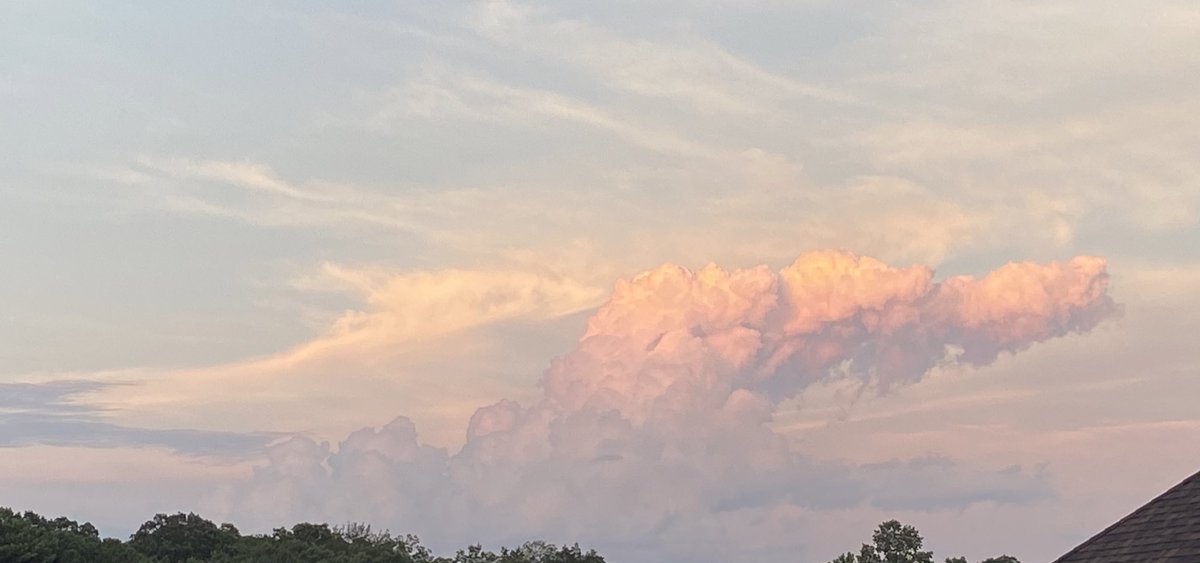 Draw what you see! ⭐️