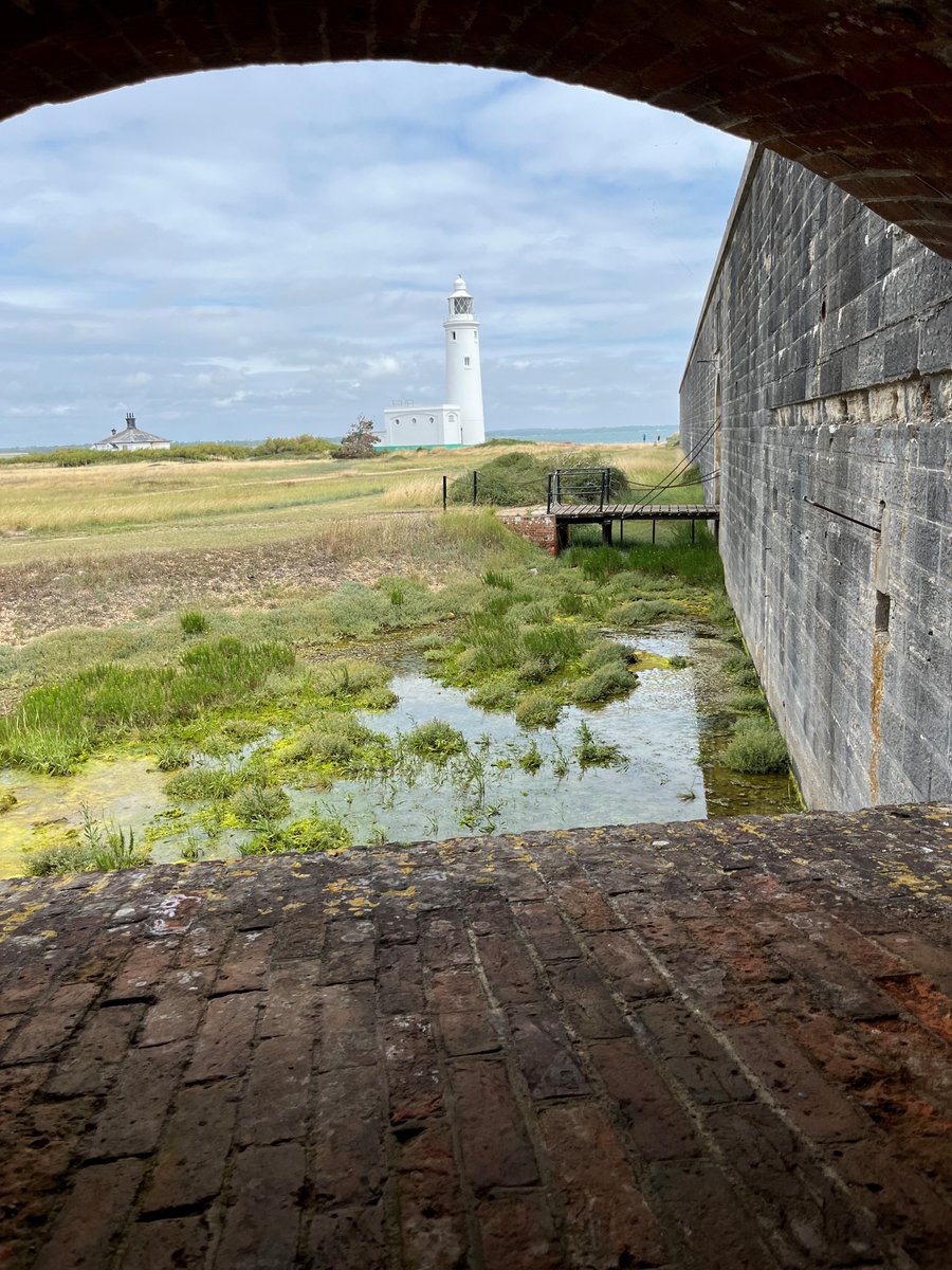 ICE Library tweet media