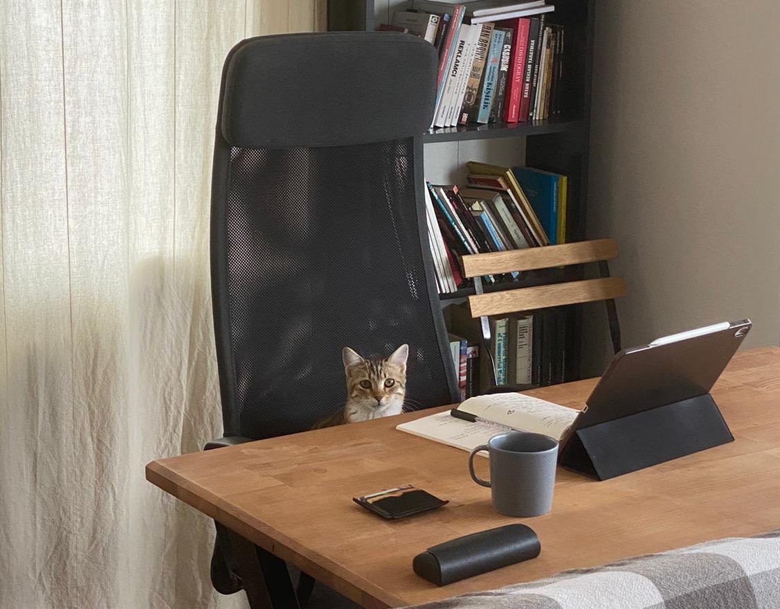 CatWorkers's tweet photo. https://t.co/Tk9XxsZ9vL