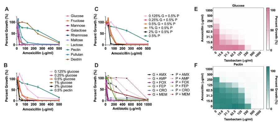 mSphereJ's tweet photo. #mSphere Editor's Pick: In the long term, this work indicates that modulation of metabolism could make Bacteroides more susceptible during infections or protect them in the context of the microbiome. https://t.co/XXosMWTaud https://t.co/8bZwnoTlFb