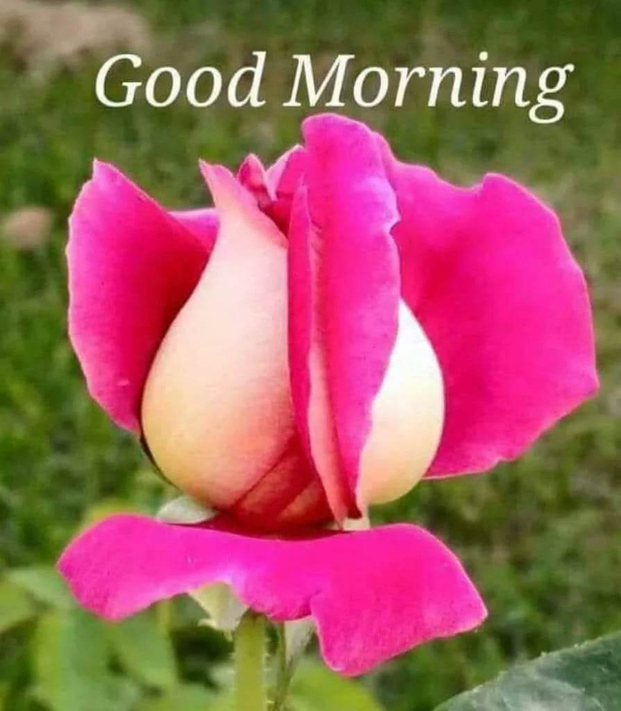 Morning everyone 💋