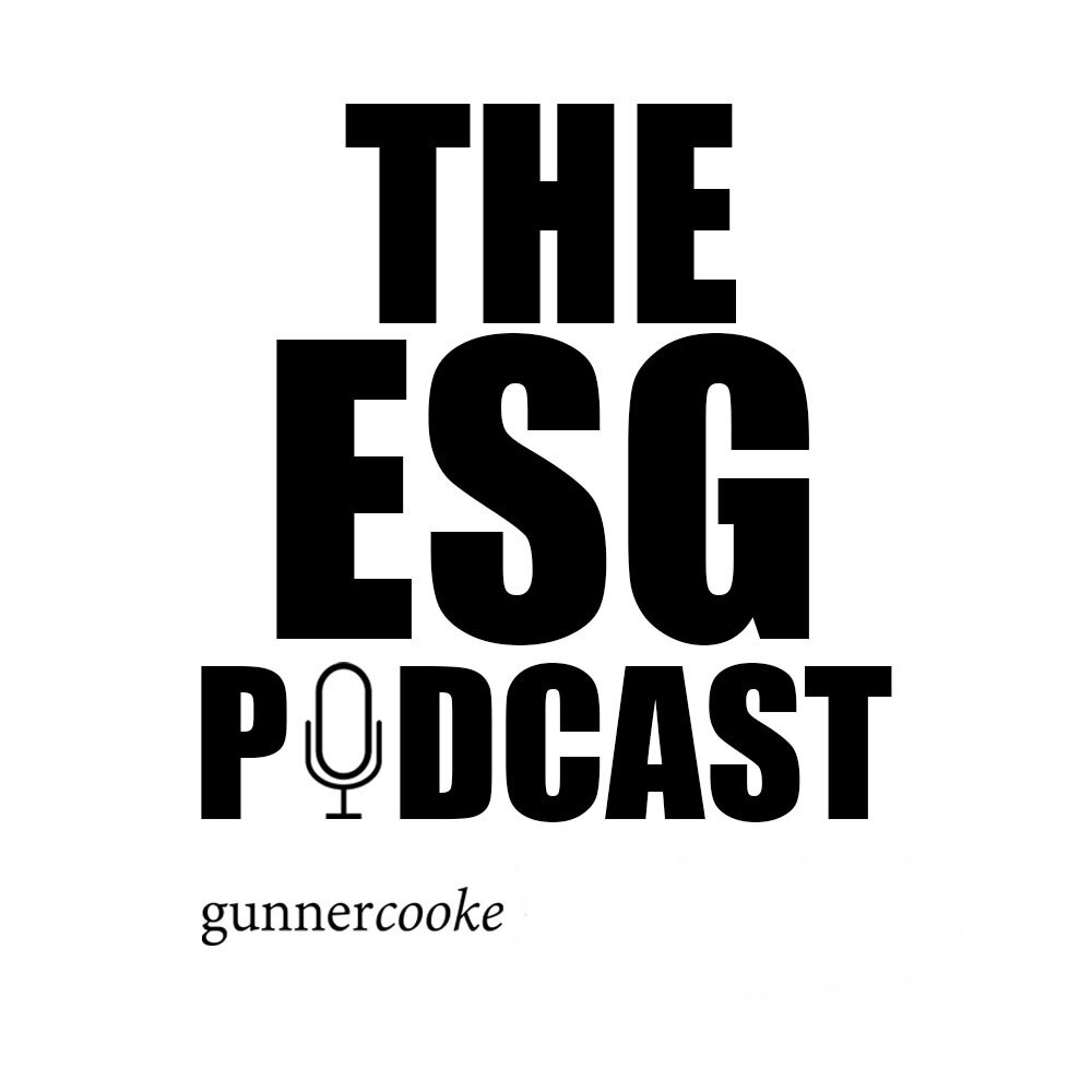 On this week's ESG podcast Rashmi Dubé s joined by Simon Haslam, director of the leading sustainability program for the Institute of Directors. They dive into governing businesses on environmental issues and explaining why ESG is so important.
Listen here: hubs.ly/Q02J_kHW0