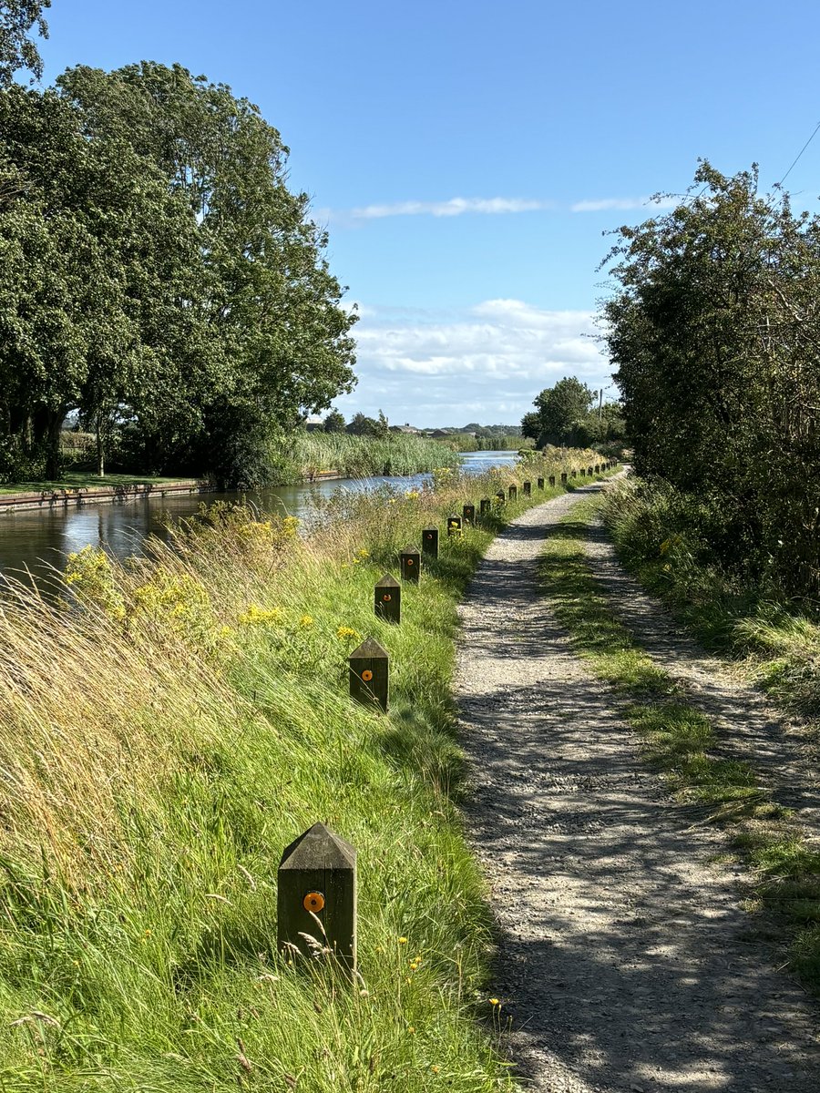 bigbaddoctor's tweet photo. A canal
A sunny day
Very few anglers
Q word
A hot 🥵 one
#LeedsLiverpoolCanal #Halsall #trailrunning #canalrunning https://t.co/Fwuq2PMBaA