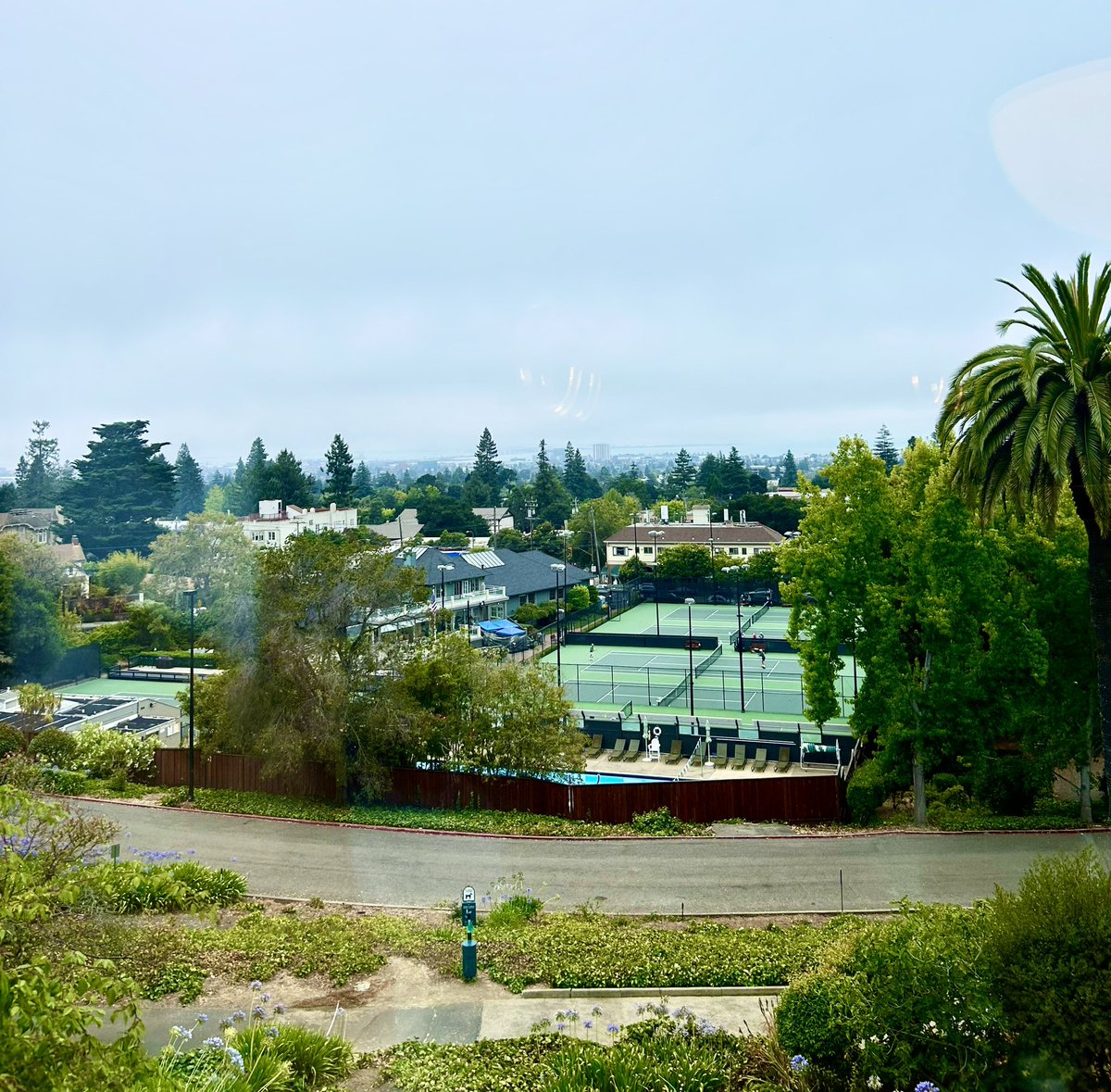 Morning views from Berkeley hills of San Francisco before the second day of Intellectual Property Scholars Conference, where I will give a talk on the idea of “first” in intellectual property