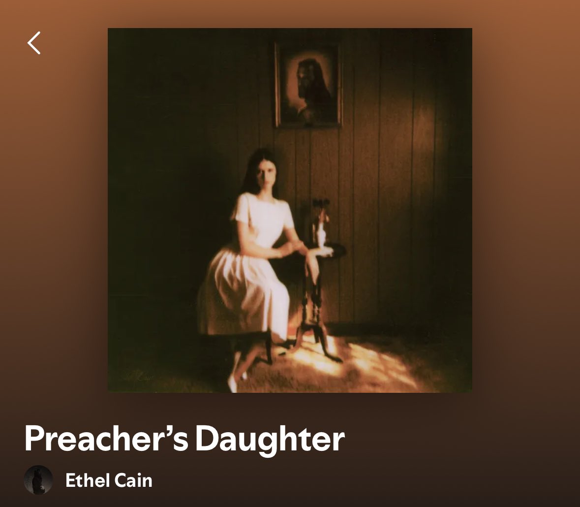 TaylorrJanney's tweet photo. These albums are summer, autumn, winter, and spring. Will not be explaining further. https://t.co/VWrF83J8MX