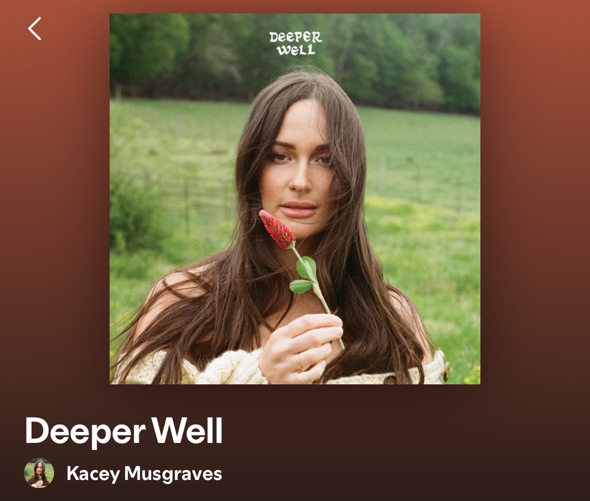 TaylorrJanney's tweet photo. These albums are summer, autumn, winter, and spring. Will not be explaining further. https://t.co/VWrF83J8MX