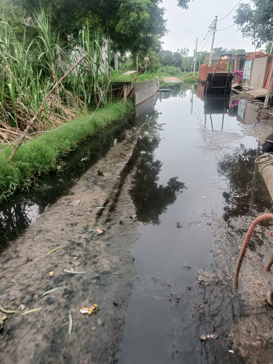 ग्राम पुरैना की हालत कीचड़ से भरा हुआ रास्ता है इस कीचड़ को पार करते है तो पैर गलने लगते हैं कोई कार्यवाही ना कोई समाधान है और यहां से मां काली सिद्ध मन्दिर है बहा लोग जा नही पाते महोदय सज्ञान ले सावन मेंलोगोंजल चढ़ाने में दिक्कतहै<a href="/myogioffice/">Yogi Adityanath Office</a> <a href="/CMOfficeUP/">CM Office, GoUP</a> <a href="/dmbijnor/">DM / DEO Bijnor UP</a> <a href="/CdoBijnor/">CDO Bijnor Official</a>