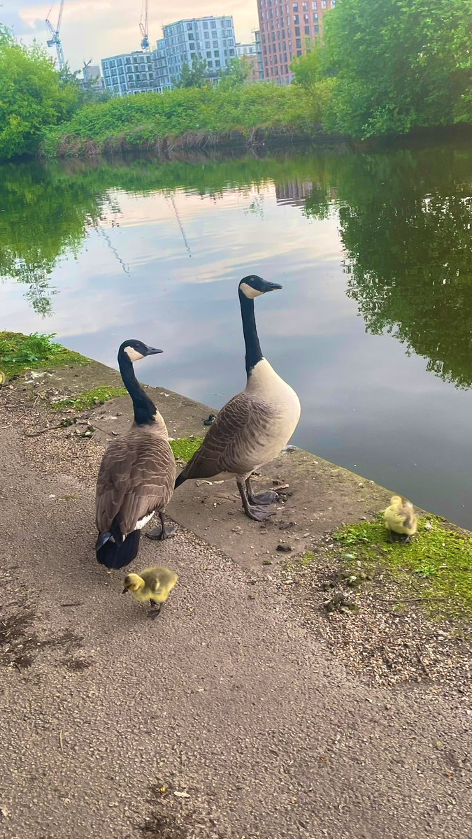 Dalphine🐬💕 tweet media