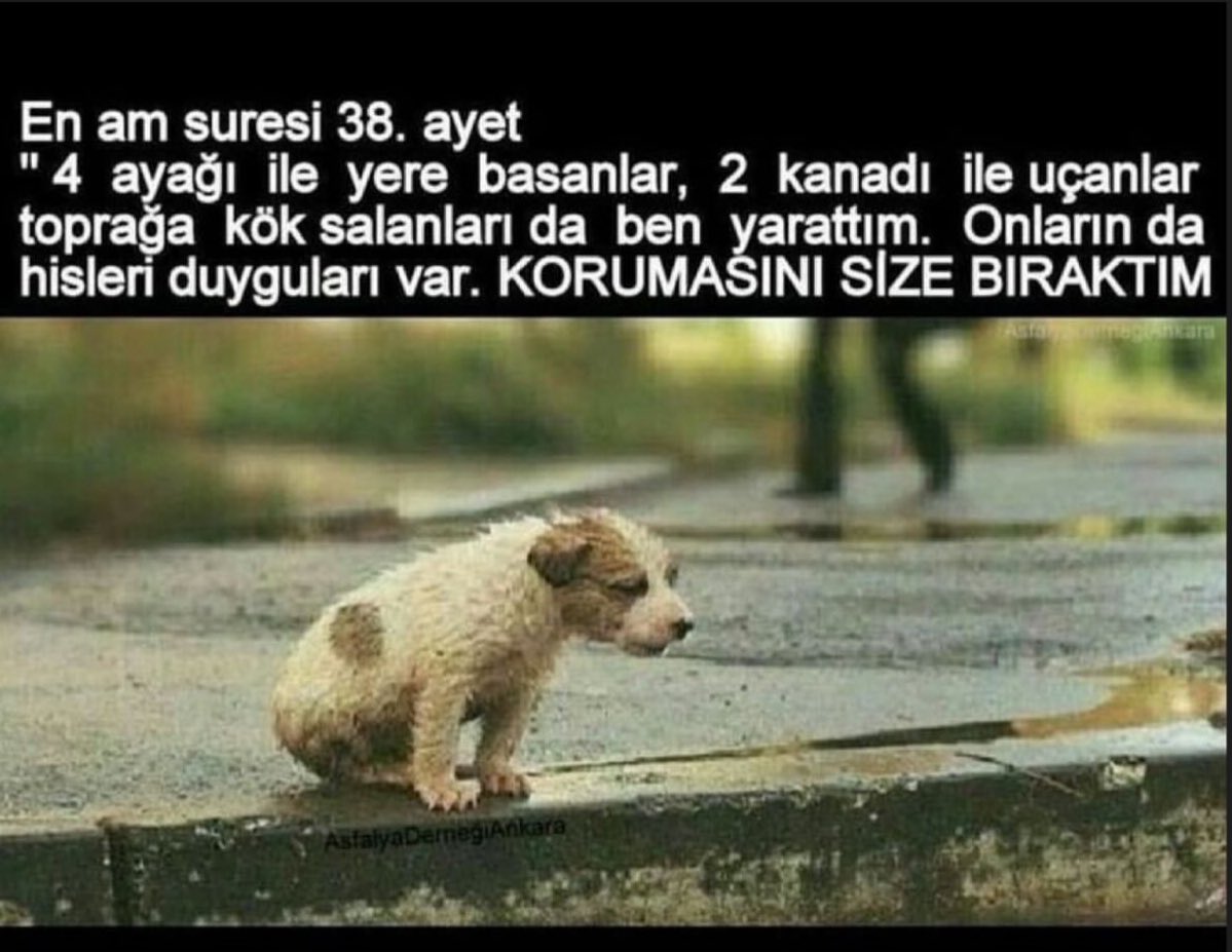 #AltindagdaKatliamVar #YasaDeğilCinayet