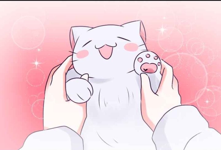ChocomilkFox's tweet photo. Gotta make Junko and Kitty-kun hold hands more often😔🙏💗 https://t.co/TqaGmtfzyz