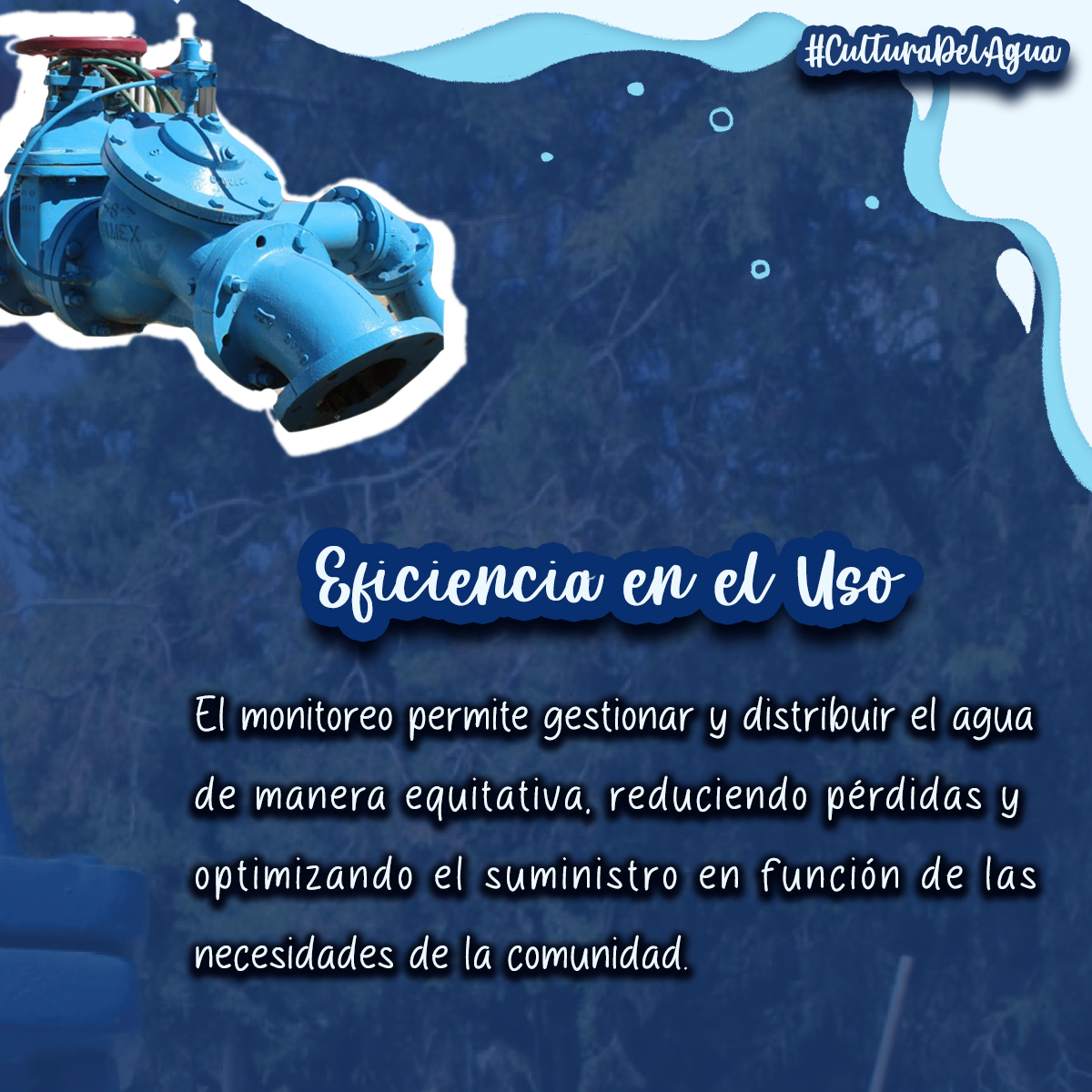 Media_Caamth's tweet photo. #CulturaDelAgua https://t.co/XXb8pn5FVP