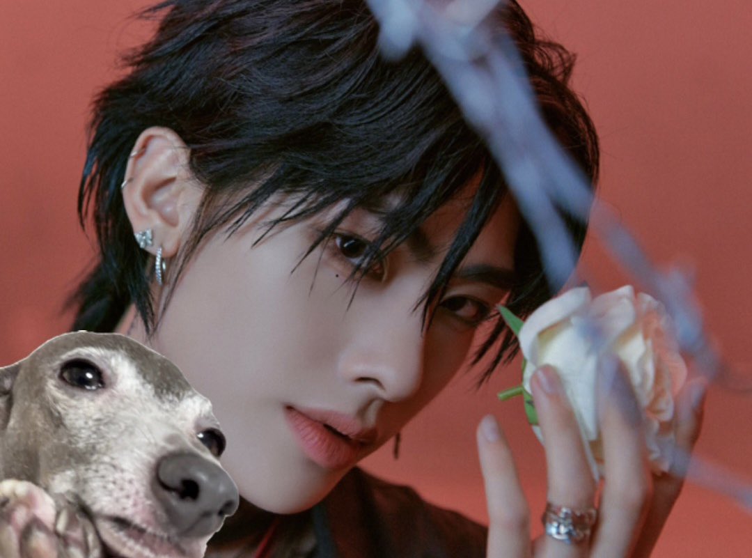 szerosevillain's tweet image. I have nothing to say for myself.