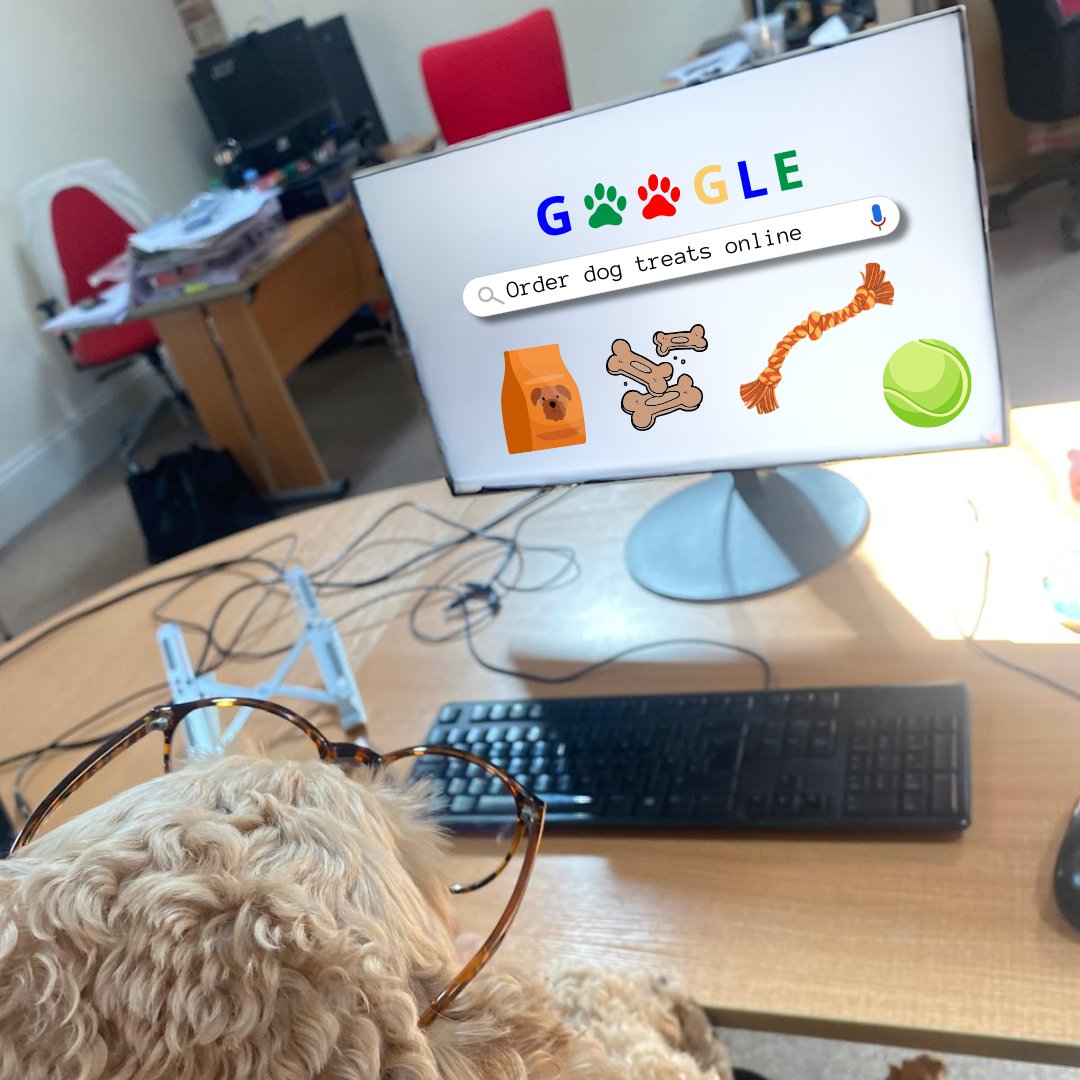 This week, Milo joined us for work experience! 🐶

With his tail wagging, he’s been sniffing out strategies and boosting team spirit. ✨

Offering paws-on insights, Milo's made a big impression as our temporary Barketing Manager. 🐾

#OfficeDogs #CalvinMarketing #OfficeLife