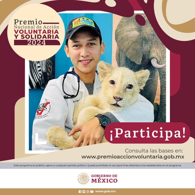 SIPINNA_MX's tweet image. Participa en el Premio Nacional de Acción #Voluntaria y Solidaria 2024, un reconocimiento a la fraternidad.   

Consulta las bases en:👇 premioaccionvoluntaria.gob.mx