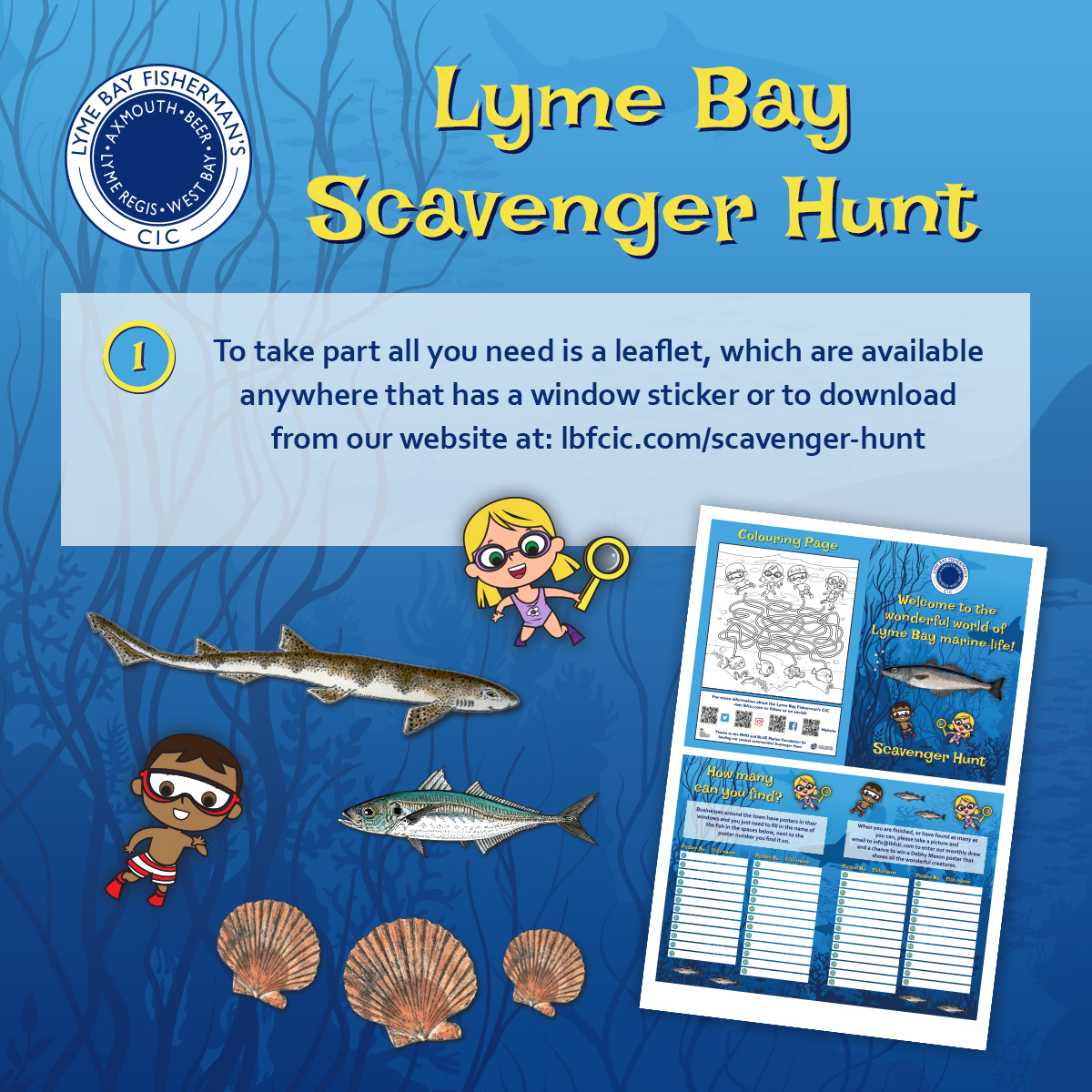 Lyme Bay Fisherman’s CIC tweet media