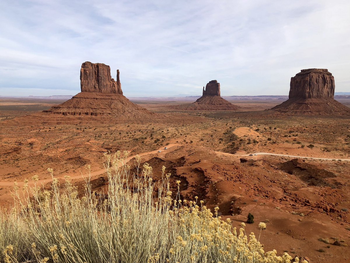 honaghaahnii's tweet image. It’s #NativeFamilyFriday.

I need help w my💡bill &amp;amp; partial rent ($475 total). My nieces/nephews started school. I sacrificed to gift them supplies/clothes. Pls help a queer N8v w survival. 😞 

PayPal.me/KentaroH
v*nmo: @/Kentaro-Herder
ca*h app: $KentaroHerder