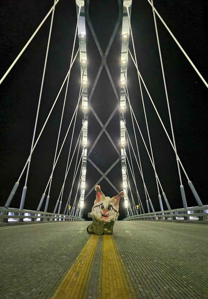 Wanna come (p)lay in the road with me? :3 #FursuitFriday