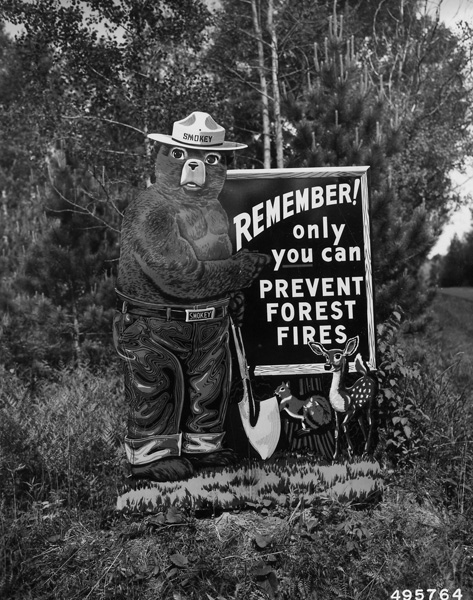 Southern Regional Extension Forestry tweet media