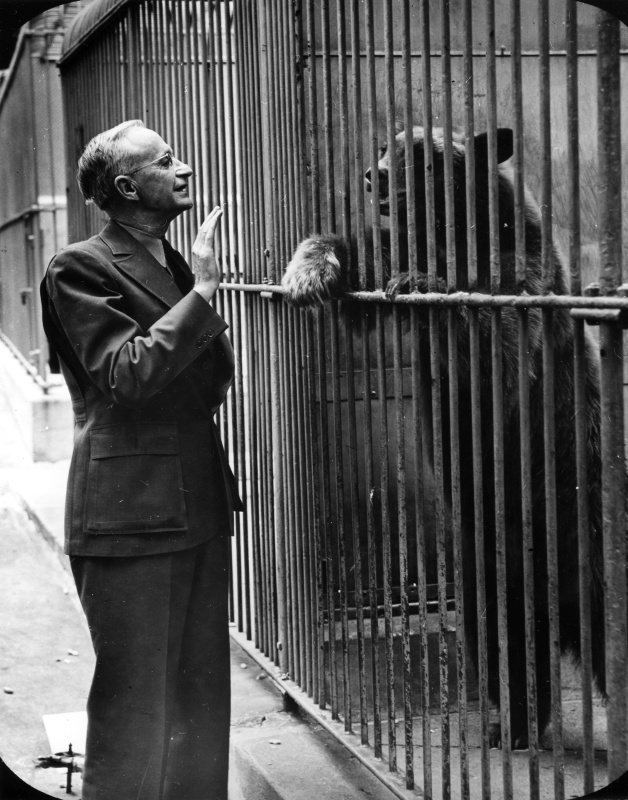 Southern Regional Extension Forestry tweet media