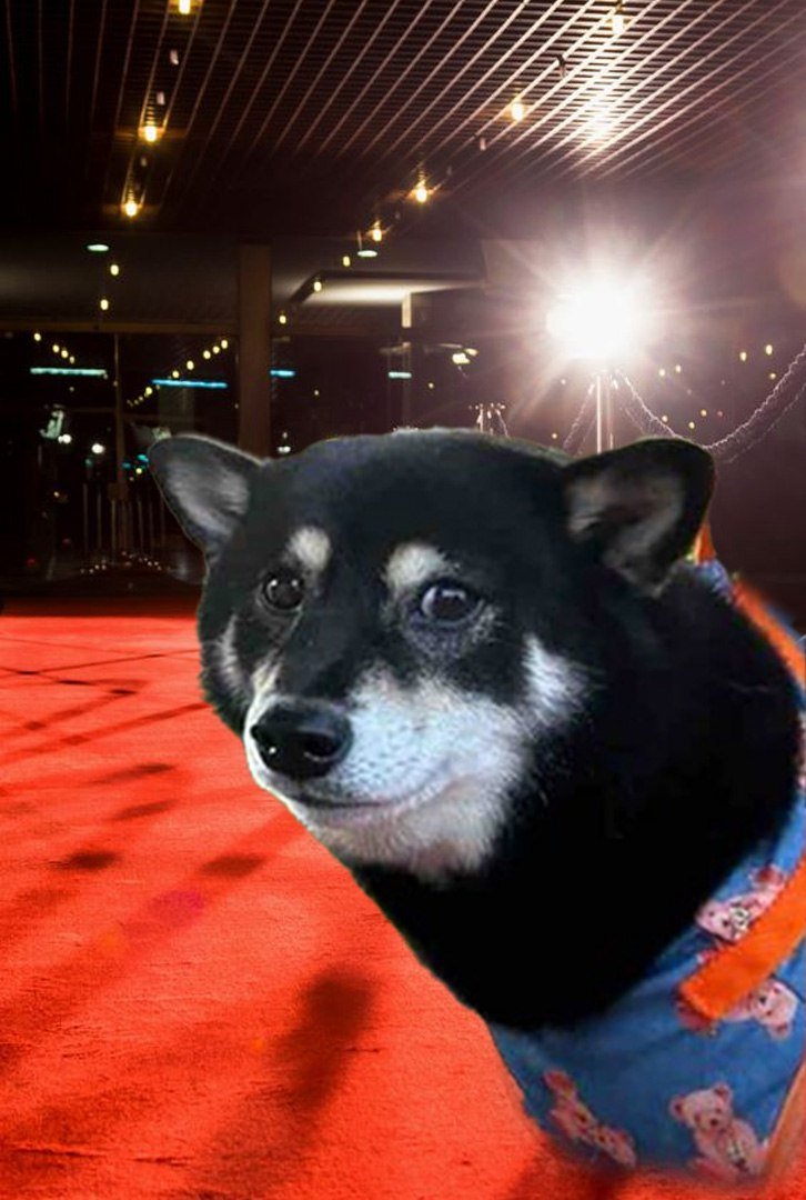 Non-believer get to watch our rise to fame from the back #KAGURA #NEIRO #ETH #SOL