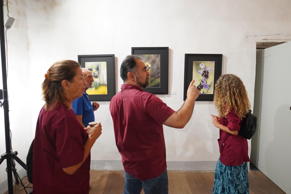 BBF2024 Mostra "Orchidee di Sardegna" a cura di Alessandro Spiga. Visitabile per tutti i giorni del Festival nei locali dell'Antica Tonnara Su Pranu