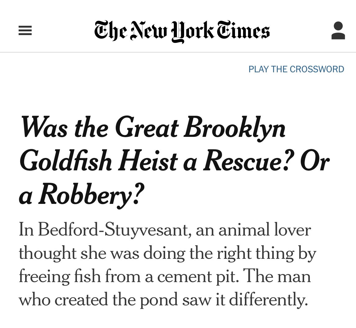 danpjsheehan's tweet photo. Still nothing from @nytimes on the leaked video of rape and torture at the Sde Teiman detention camp (and subsequent Israeli media fallout)

OR

the 50+ displaced Palestinians killed by Israeli airstrikes in past 24 hours.

The NYT has, however, been covering the important stuff. https://t.co/dSlOZWWkq8