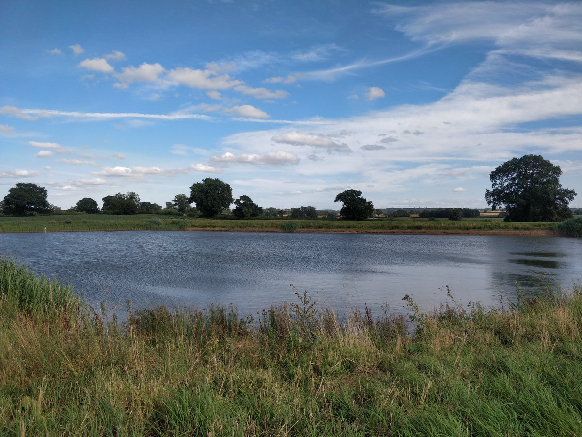 Dr Ana IM Natálio 💙 tweet media