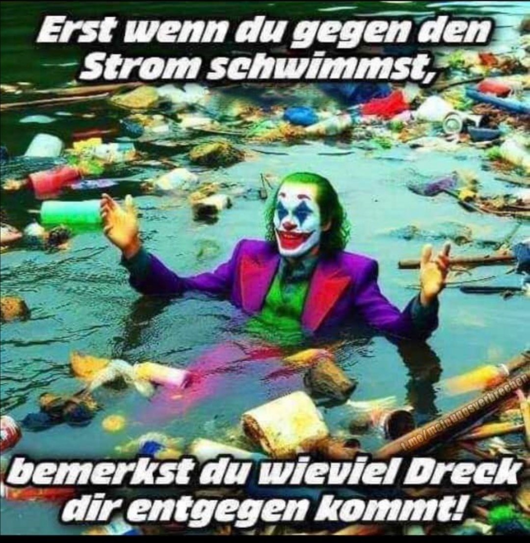 BerndRybecky's tweet photo. @AKatze20 https://t.co/HUqlntHWge