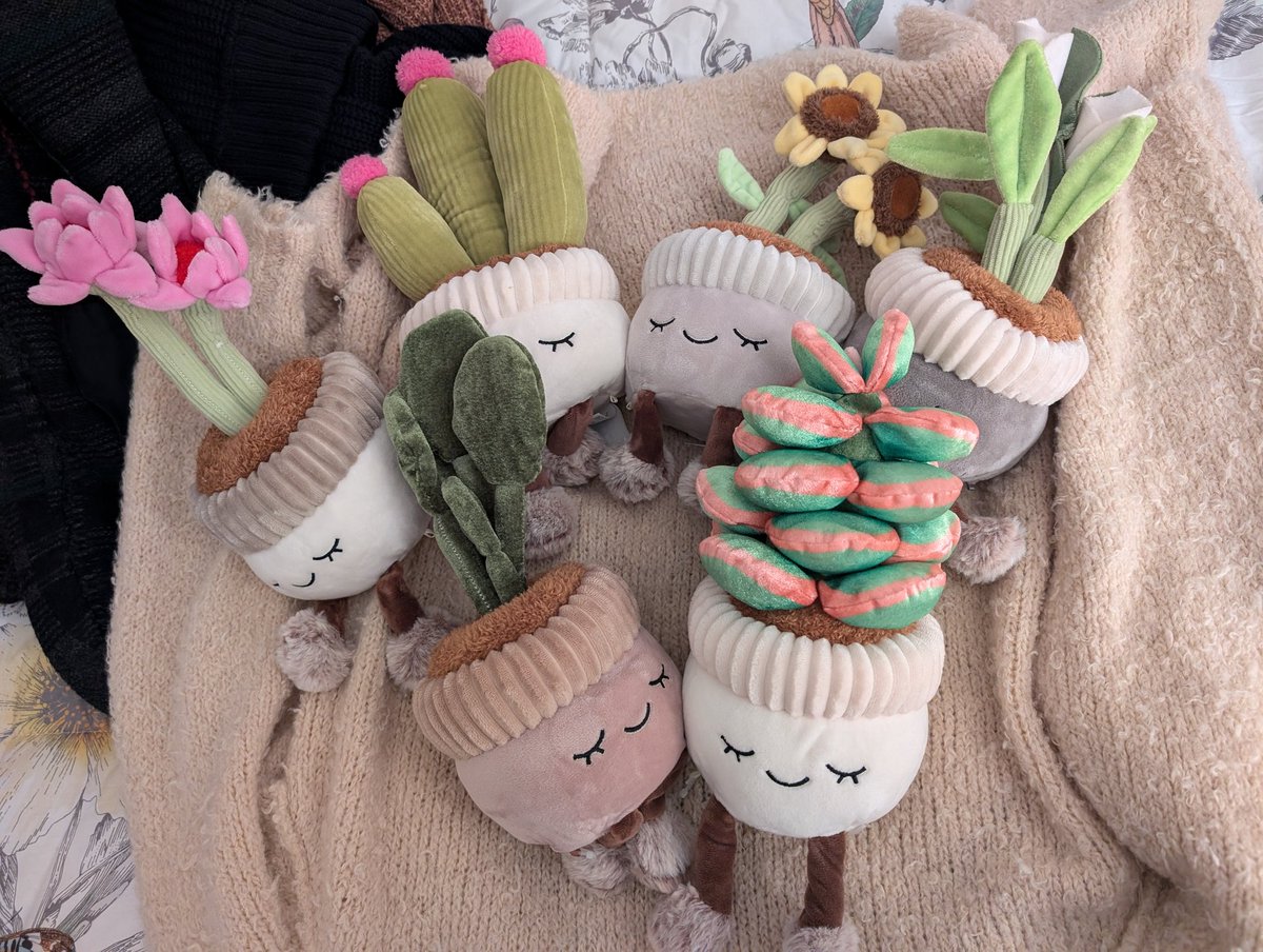 Why didn't they have plant plushies when I was growing up?! 😭😂 Picked these guys up as future student prizes in plant tax, but tempted to keep them for me 😁 Pretty good representation of taxonomic diversity too! #iamabotanist #plantjoy #plantsarecooltoo
