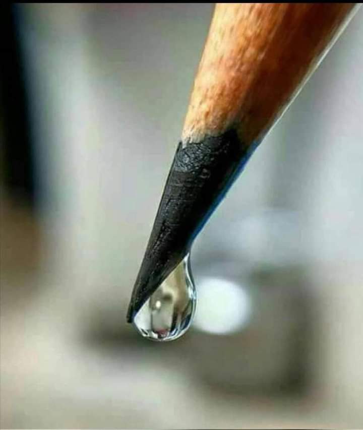 🎗️ ملهم 🎗️ tweet media