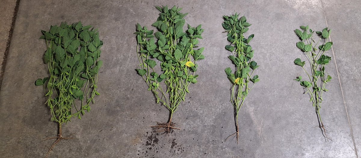 Brian Scott tweet media