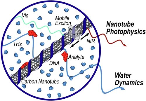 Sebastian Kruss (@krusslab) on Twitter photo 1/3 Check out our joint work <a href="/NatureComms/">Nature Communications</a> with the Havenith group <a href="/ruhrunibochum/">Ruhr-Universität Bochum</a> and <a href="/Vukovic_Lab/">Lela Vukovic</a> on the mechanism of fluorescent sensors. Congrats to Sanjana and Phillip. <a href="/SolvationSci/">Solvation Science</a> <a href="/nanocarbons/">Nanocarbons</a> nature.com/articles/s4146⌠1/3 Check out our joint work <a href="/NatureComms/">Nature Communications</a> with the Havenith group <a href="/ruhrunibochum/">Ruhr-Universität Bochum</a> and <a href="/Vukovic_Lab/">Lela Vukovic</a> on the mechanism of fluorescent sensors. Congrats to Sanjana and Phillip. <a href="/SolvationSci/">Solvation Science</a> <a href="/nanocarbons/">Nanocarbons</a> nature.com/articles/s4146âŚ