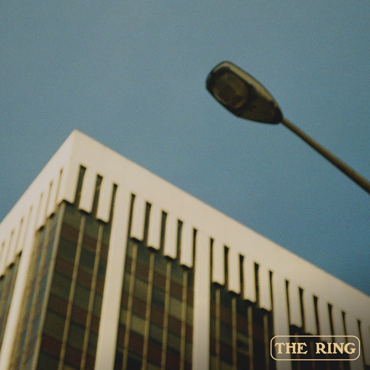 Dylan Rockoff tweet media