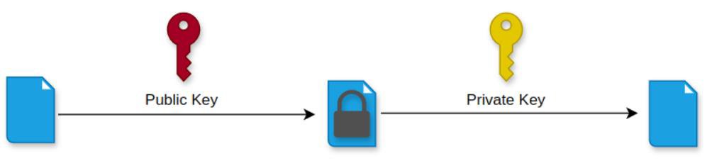 DUCA Project tweet media