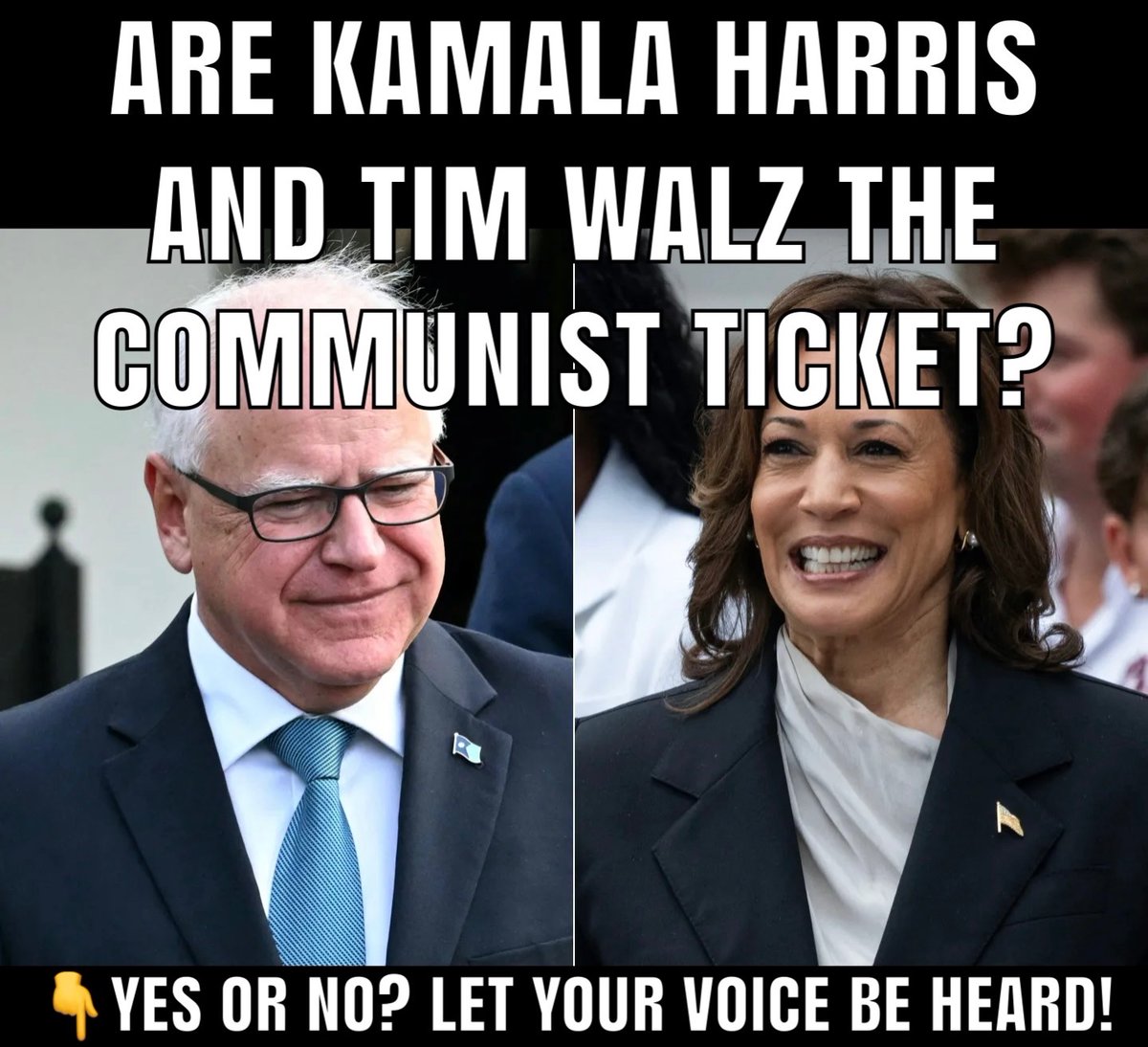 Do you think Kamala Harris and Tim Walz are the COMMUNIST ticket in the presidential race?

YES or NO?
