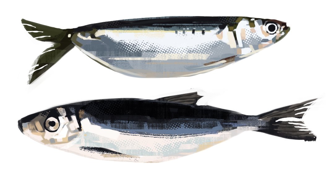 spoons (comms open) tweet media