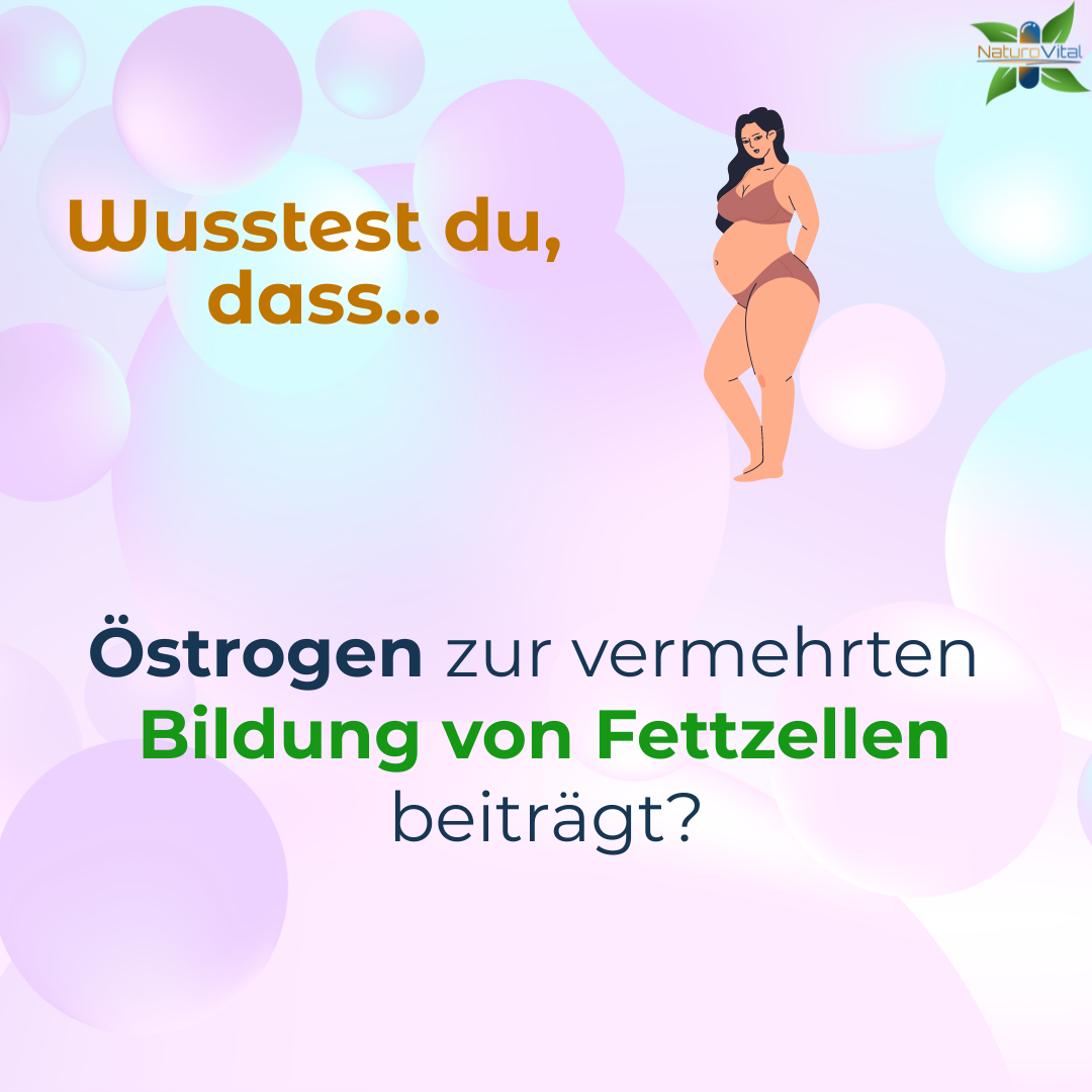 naturo_vital's tweet photo. Alles über die Zusammenhänge im Hormonsystem und wie du dein hormonelles Gleichgewicht unterstützen kannst erfährst du in unserem ausführlichen Blogbeitrag 🧘‍♀️🌿

👉 https://t.co/rRwEOpZs79

#hormonbalance #östrogen #aromatase #hormonsystem #gesundheit #naturheilkunde #gesundleben https://t.co/mvQ9O8sG28