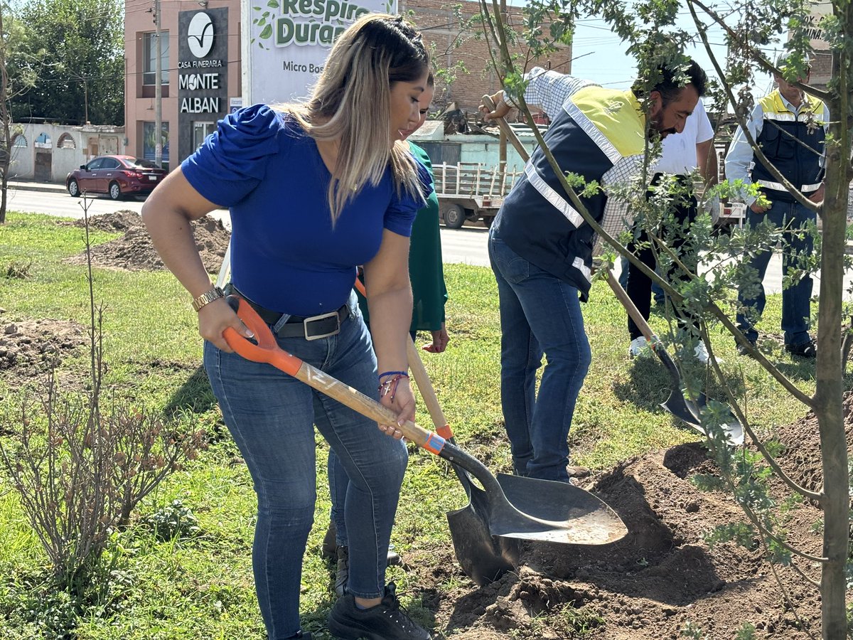 Isabel_Onti_'s tweet photo. Hoy asistí a la creación de un nuevo Microbosque en nuestro municipio. El Gobierno del Alcalde @josejoseantonio impulsa los espacios verdes para un futuro más sostenible #Microbosques #EspaciosVerdes #Sostenibilidad 🌳✅ https://t.co/7QWfitrkXP