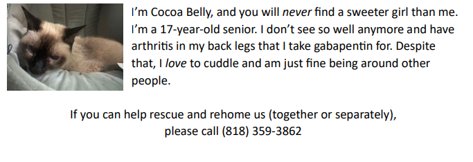 Last month, a friend of mine died after a long illness. She left behind 6 #cats who are missing their mama. Her best friend is trying to help them find homes.  

If you are in L.A. with space in your home &amp; heart, plz contact the number in the last image.  
RT's MUCH appreciated!