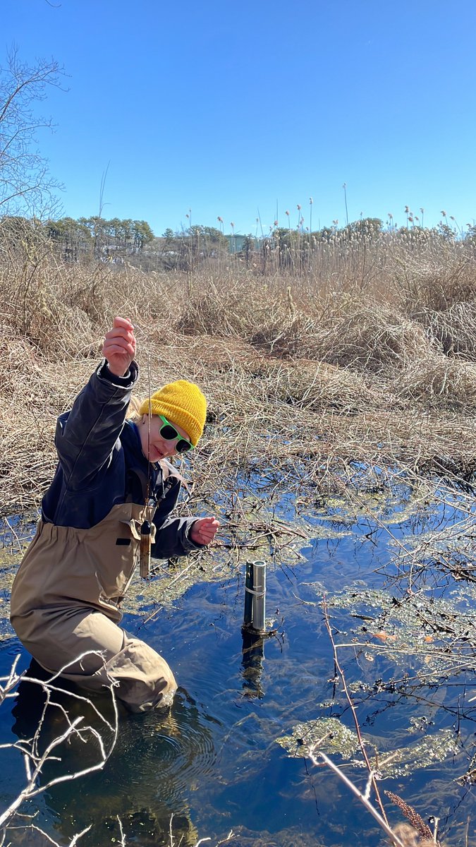 MassEcoRestore's tweet photo. DER 💙pre-restoration data! See one of our Wetland Restoration Project Managers collect & download data at a #DERPriorityProject in Chatham. Years of pre-restoration data can guide the design & inform permitting on #EcologicalRestoration projects. https://t.co/50ujiCkSnF