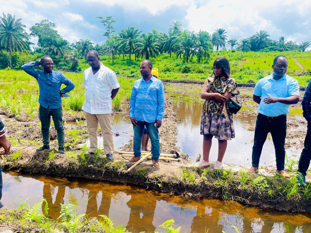 SendSierraleone's tweet photo. Our Country Director, @JosephAyamga1 led a joint field visit with FAO’s Country Director to review the Home Grown School Feeding project in Kenema. 
Supported by @FAOSierraLeone, the project is setting up school farms for two  Girls Secondary Schools in Kenema https://t.co/9WaUzRaD6O