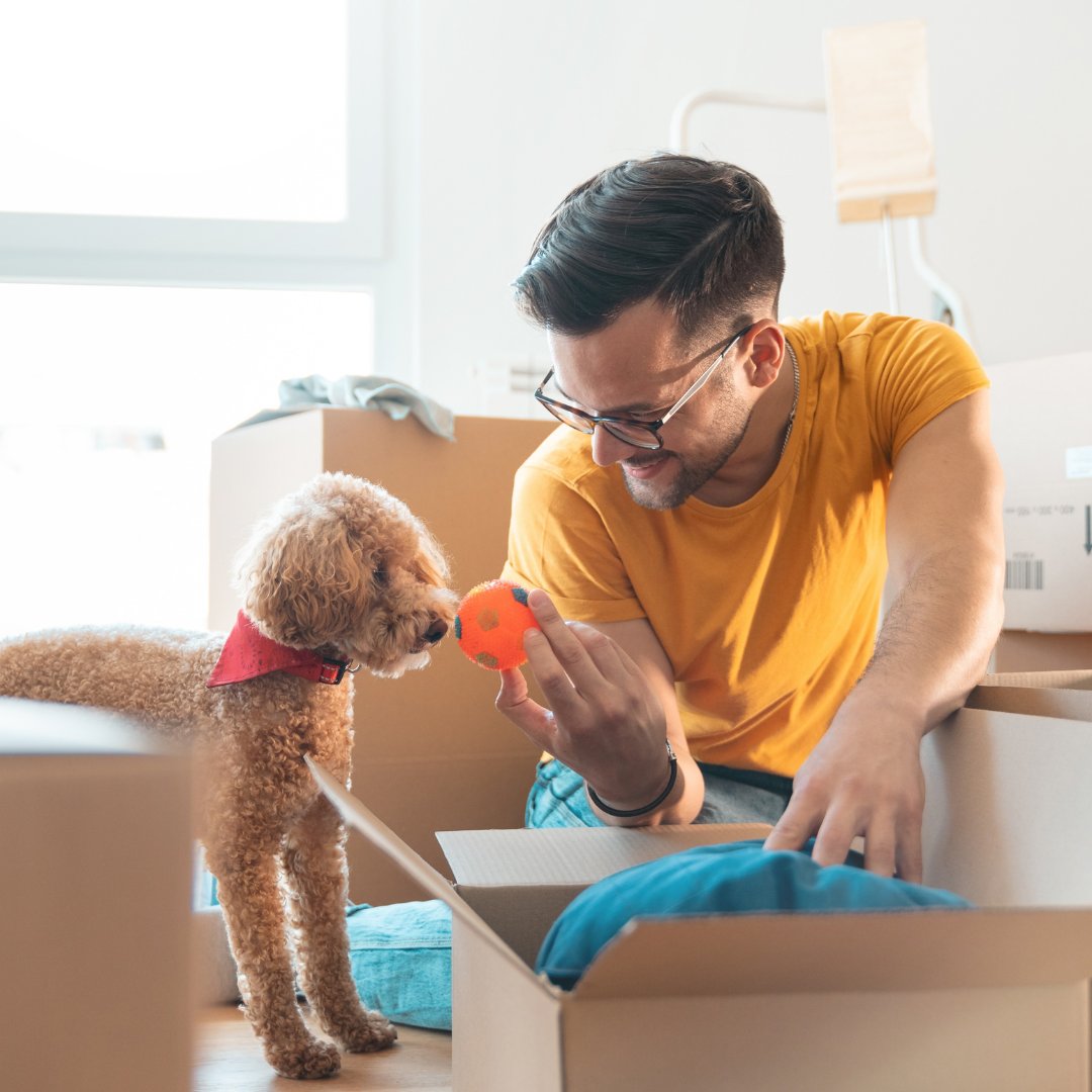 Moving is ruff for you and your pup! 🐶 Let CCCFI make it easier with our doggie daycare and boarding. While you pack, your dog can enjoy playtime, toys, and treats. 🐾

Tap the bio to book your pup’s spot today! 🌟 caninecountryclubaz.com