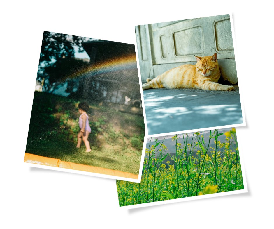 Announcing our Summer Photo Contest! 📷☀️📷 

Got some photography skills up your sleeve? Now's your time to shine! 

The winner will receive an Instax mini 12 Polaroid camera. 

Find all the details and submit your photos here until September 2: shorturl.at/MpOpY