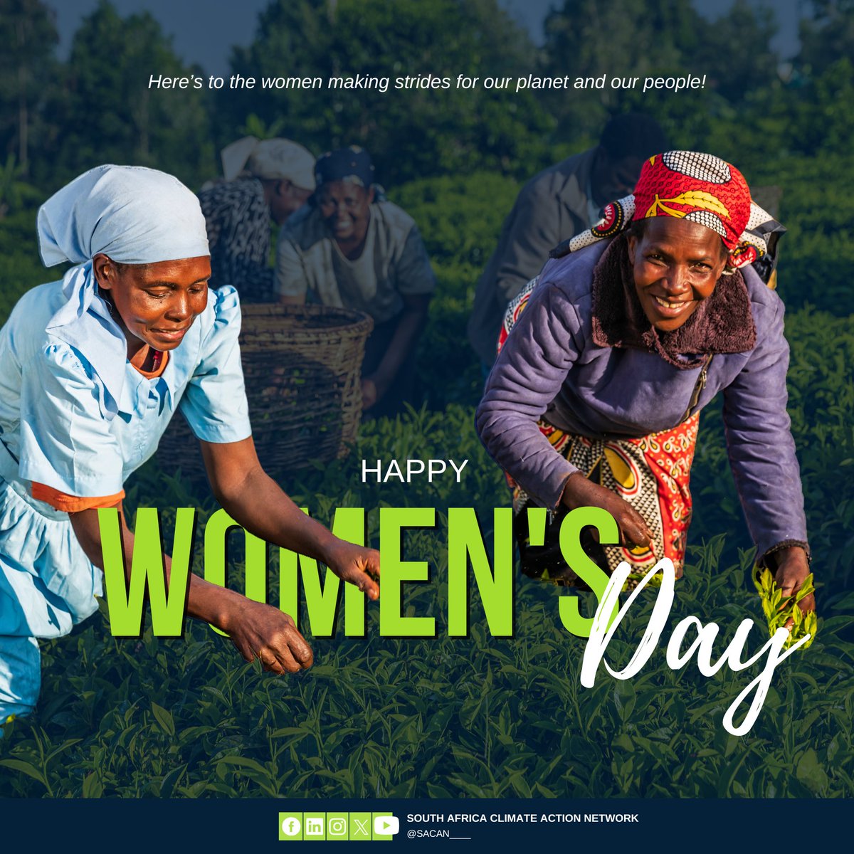 SACAN____'s tweet image. 🌿 Today, and every day, we honour the incredible contributions of women and stand beside them. 

Happy #WomensDay2024 💚