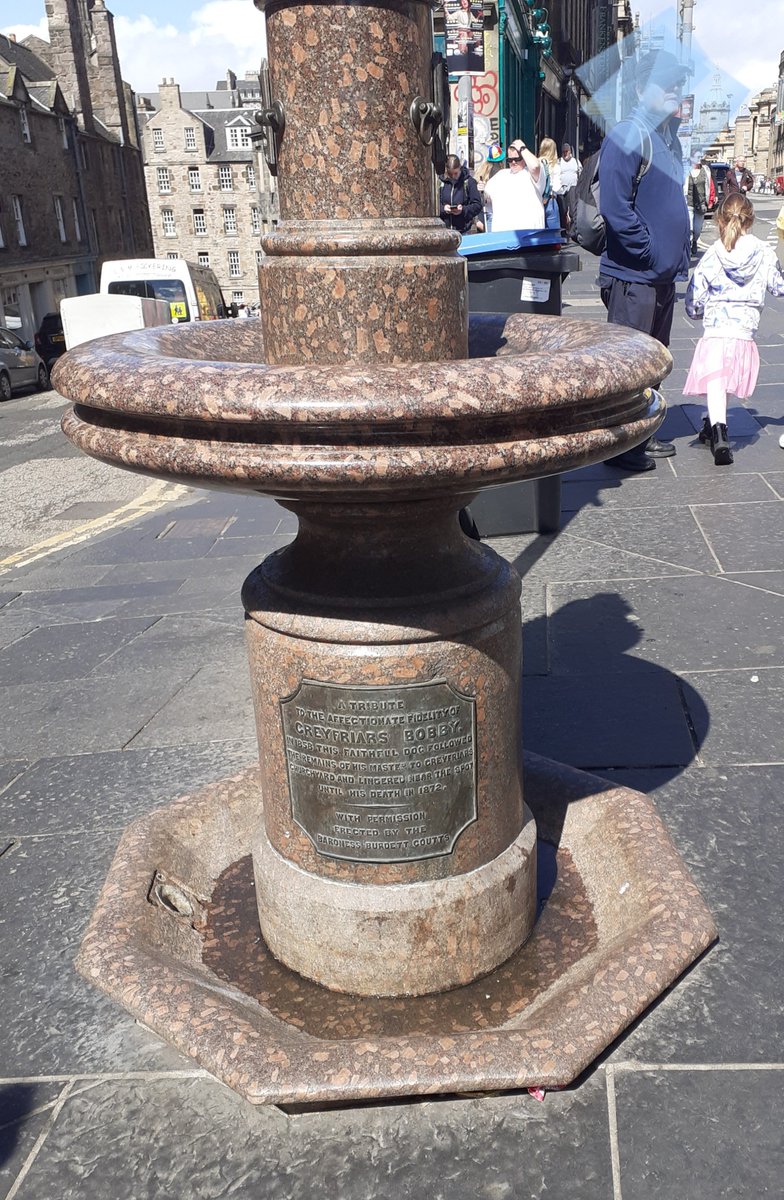 Rachel Pollitt tweet media